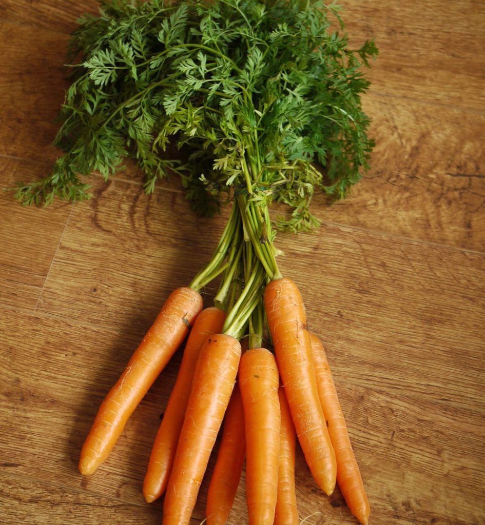Agro City - Top Exporter & Importer Of Carrots In Egypt​